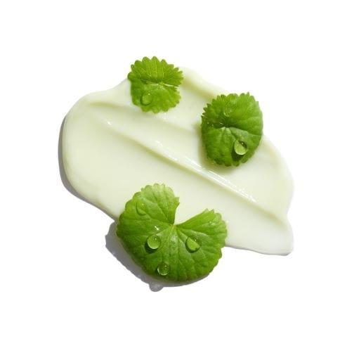 [Dr.G] Crème Cica S Anti-imperfections Rouge 2X - 70ml