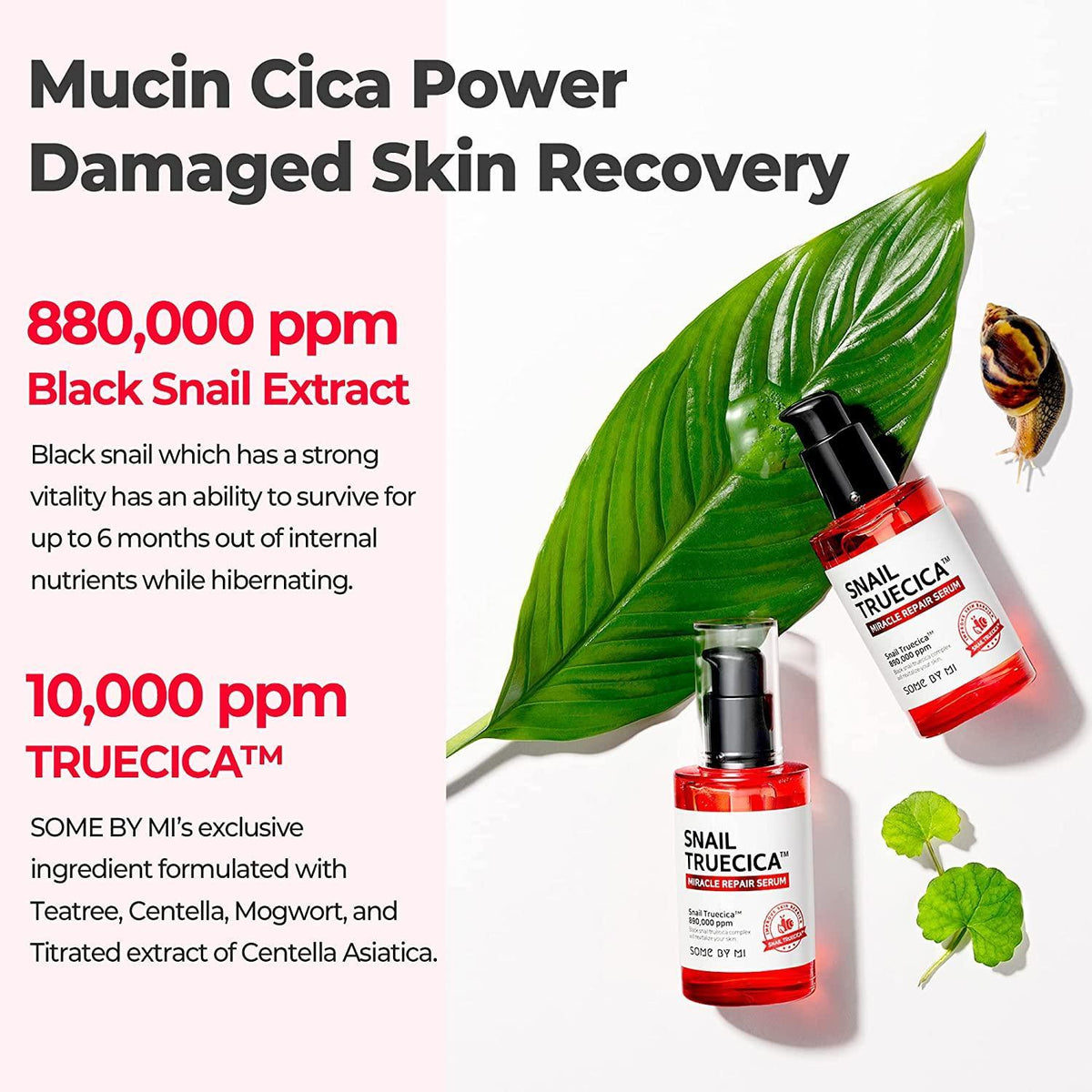 [SOME BY MI] Snail Truecica Miracle Repair Serum 50ml