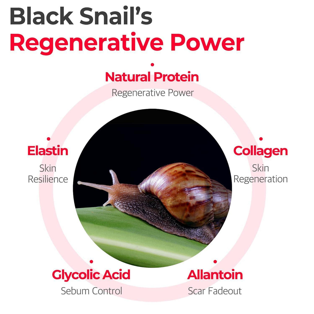 [SOME BY MI] Snail Truecica Miracle Repair Serum 50ml