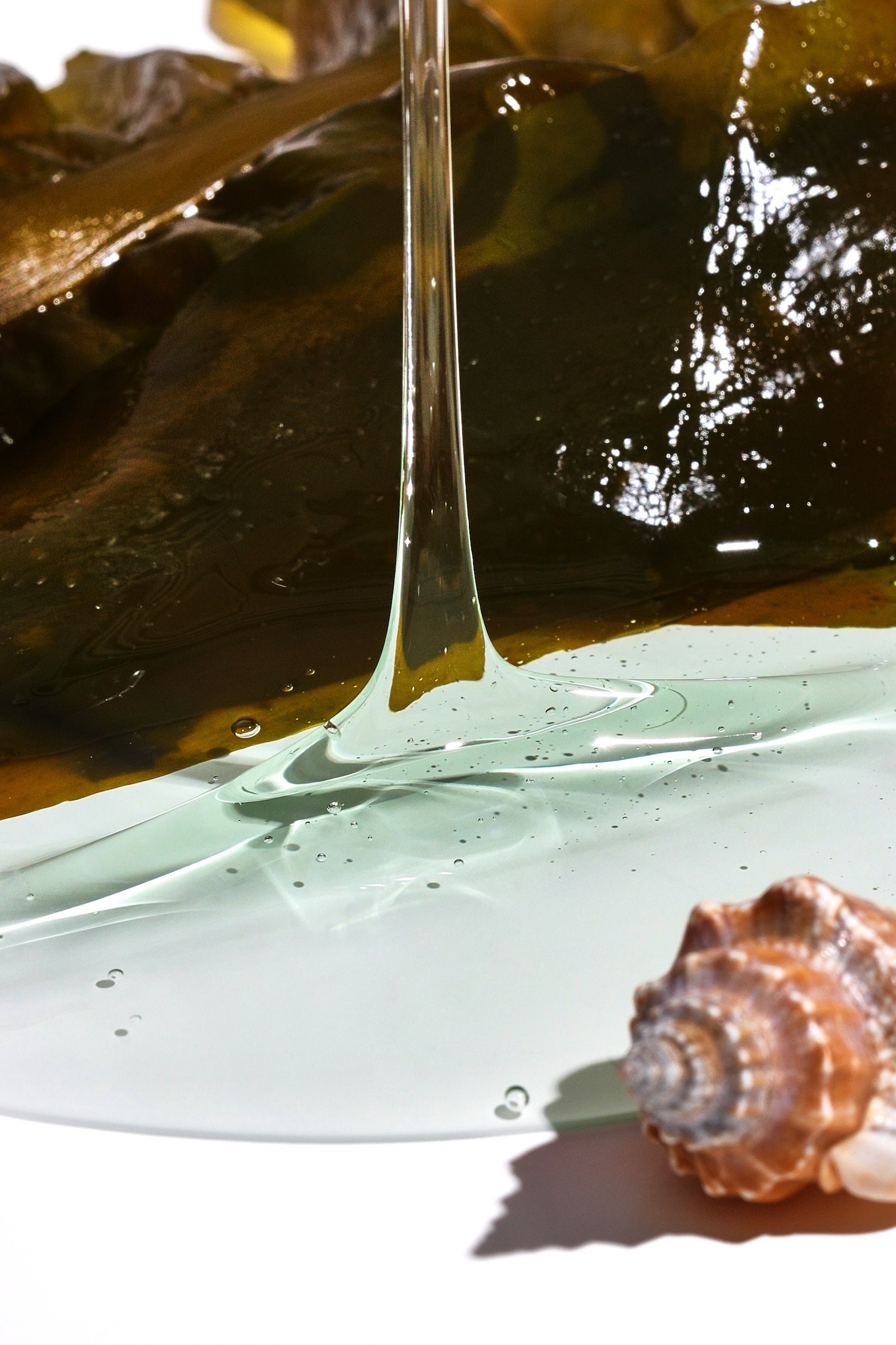 [Isntree] GIM PDRN Hydro Bouncy Ampoule 50ml